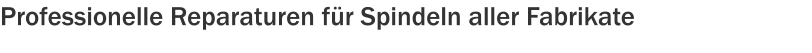 Professionelle Reparaturen für Spindeln aller Fabrikate