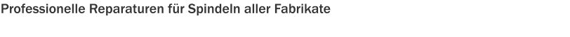 Professionelle Reparaturen für Spindeln aller Fabrikate